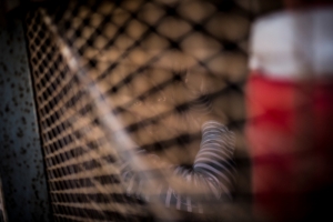 Detention Centres - Tripoli, Libya