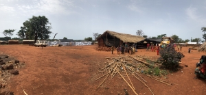 Vaccination in Mingala