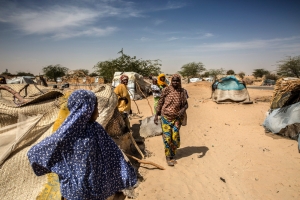 Humanitarian crisis in Diffa, Niger