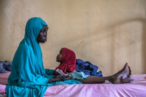 Surviving conflict in northeast Nigeria