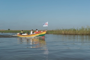 Distribution of NFI in remote areas