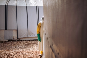 Butembo and its surroundings, the new epicentre of the outbreak