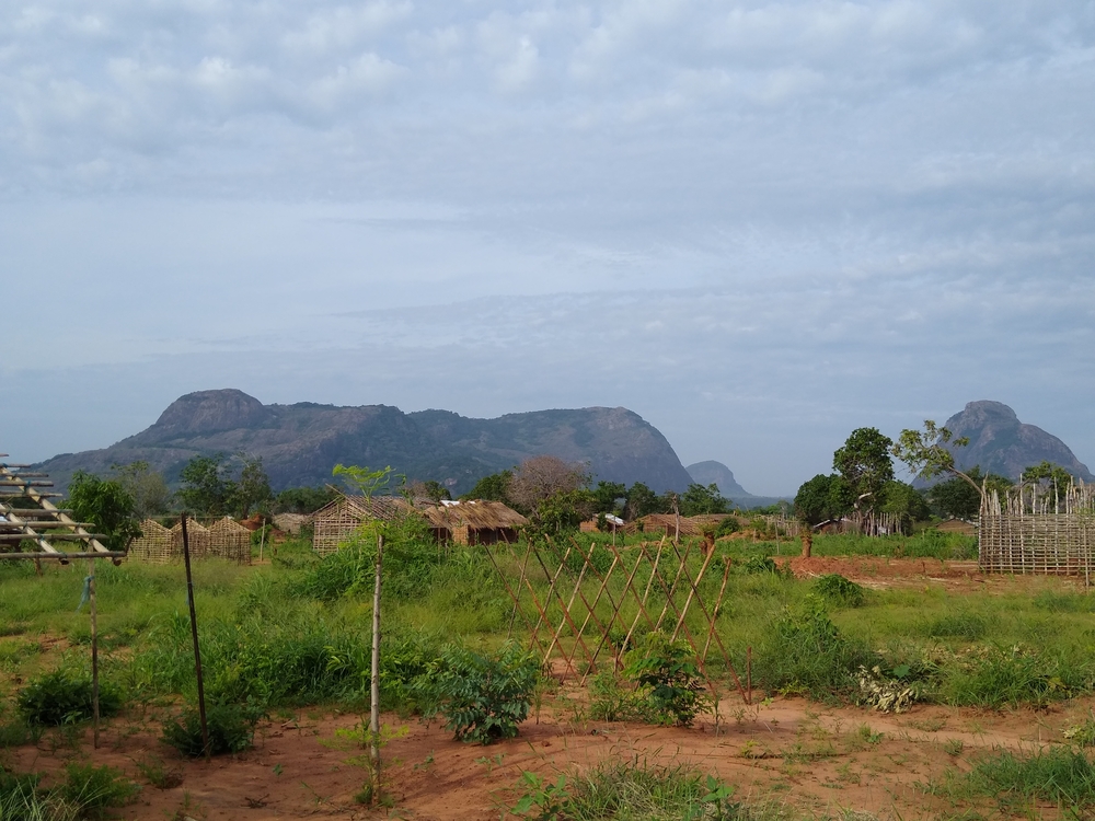 The growing impact of the conflict in Cabo Delgado