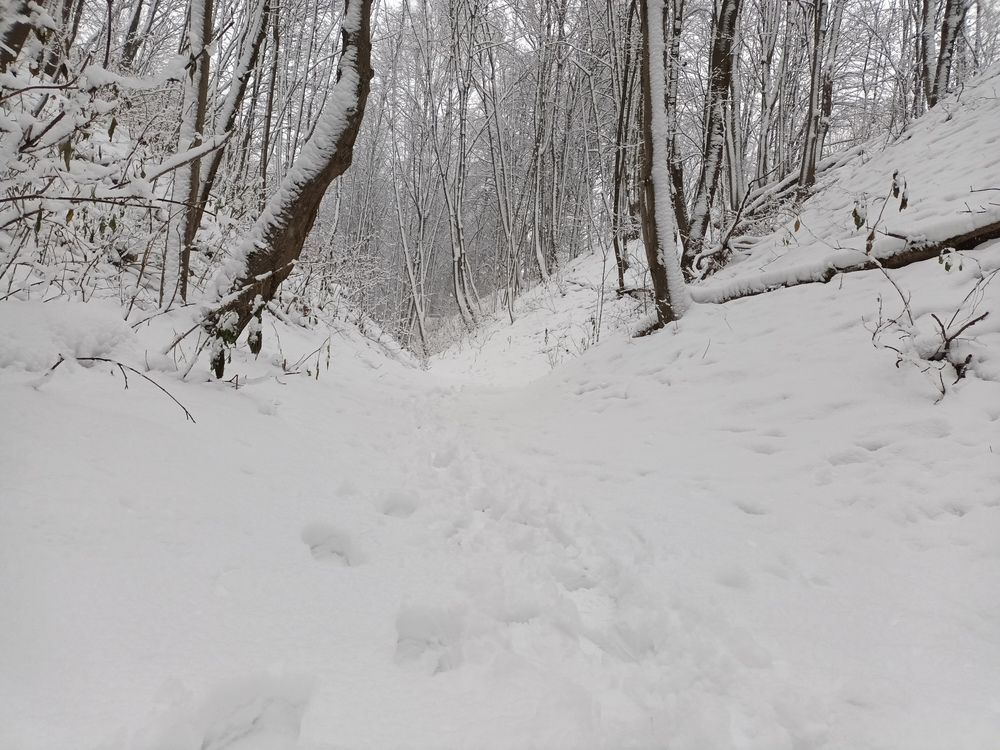 MSF brinda atención médica a migrantes en la frontera de Letonia y Lituania con Bielorrusia