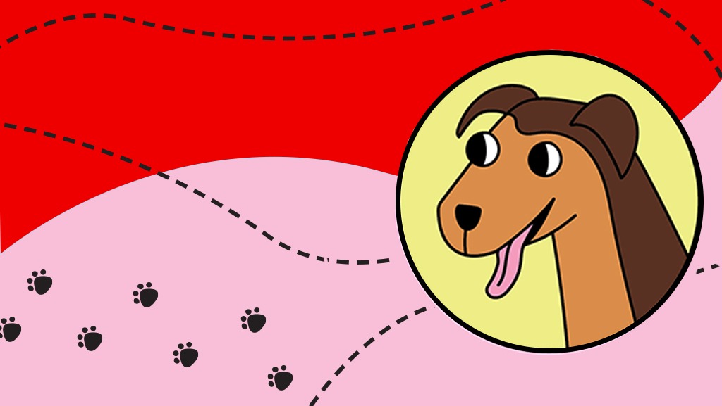 Libro para colorear: La historia de Juan Pablo, un perrito migrante