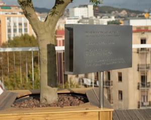 Este olivo se encuentra en nuestra oficina de Médicos Sin Fronteras en Barcelona. Está dedicado "A todas las personas que arriesgan su vida para ofrecer ayuda a quien más la necesita. A quienes la han perdido en esta labor. A María, Tedros y Yohannes. 24 de junio de 2021, Tigray, Etiopía. Camináis a nuestro lado en los momentos más duros y en los más dulces, en tiempos de tristeza y de alegría". ©MSF