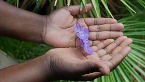 "La flor más grande es para mi hija Edvige: me gustaría volver a verla". Veronique lleva un pañuelo blanco en la cabeza con bordados dorados, se ve elegante.