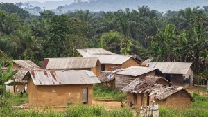 Vista del territorio de Walikale, a 135 km de Goma, capital de la provincia de Kivu del Norte en la República Democrática del Congo (RDC).