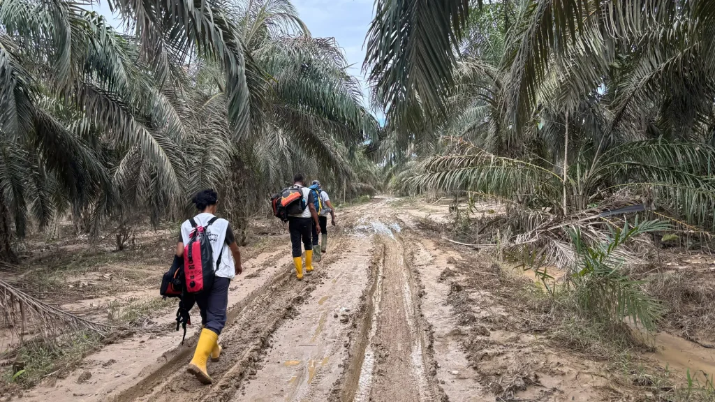 El equipo de MSF viajó a pie a zonas de difícil acceso durante una evaluación en el distrito de Aceh Tamiang, Indonesia.