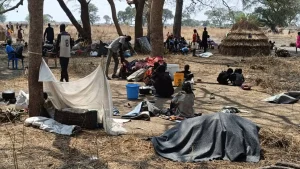 Las familias se refugian bajo los árboles en Nyatim, Estado de Jonglei, Sudán del Sur, donde las personas desplazadas viven al aire libre sin refugio adecuado, comida ni acceso a atención sanitaria básica tras huir de la violencia en Lankien y las zonas circundantes.