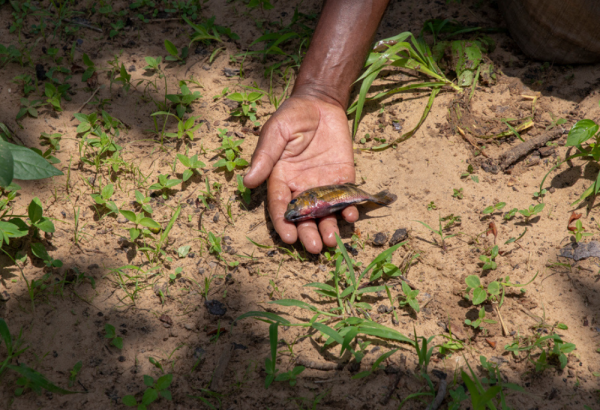 Níger: el cambio climático añade más dificultades a los más vulnerables