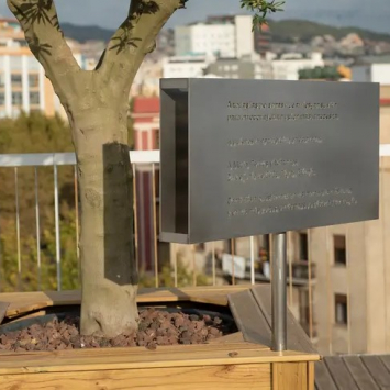 Este olivo se encuentra en nuestra oficina de Médicos Sin Fronteras en Barcelona. Está dedicado "A todas las personas que arriesgan su vida para ofrecer ayuda a quien más la necesita. A quienes la han perdido en esta labor. A María, Tedros y Yohannes. 24 de junio de 2021, Tigray, Etiopía. Camináis a nuestro lado en los momentos más duros y en los más dulces, en tiempos de tristeza y de alegría". ©MSF