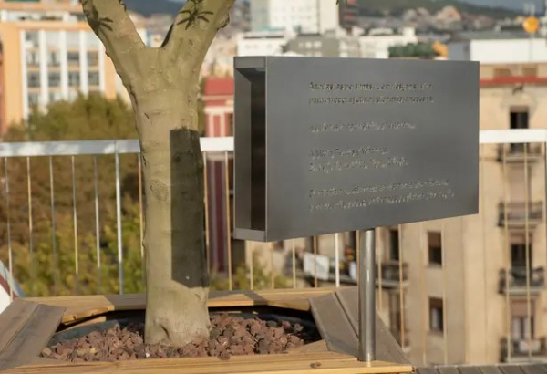 Este olivo se encuentra en nuestra oficina de Médicos Sin Fronteras en Barcelona. Está dedicado "A todas las personas que arriesgan su vida para ofrecer ayuda a quien más la necesita. A quienes la han perdido en esta labor. A María, Tedros y Yohannes. 24 de junio de 2021, Tigray, Etiopía. Camináis a nuestro lado en los momentos más duros y en los más dulces, en tiempos de tristeza y de alegría". ©MSF