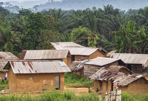 Vista del territorio de Walikale, a 135 km de Goma, capital de la provincia de Kivu del Norte en la República Democrática del Congo (RDC).