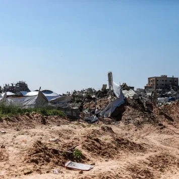 Escombros y tiendas de campaña improvisadas dominan el paisaje en la Franjade Gaza. Entre los escombros crecen plantas silvestres, una de las pocas fuentes de alimento que quedan.