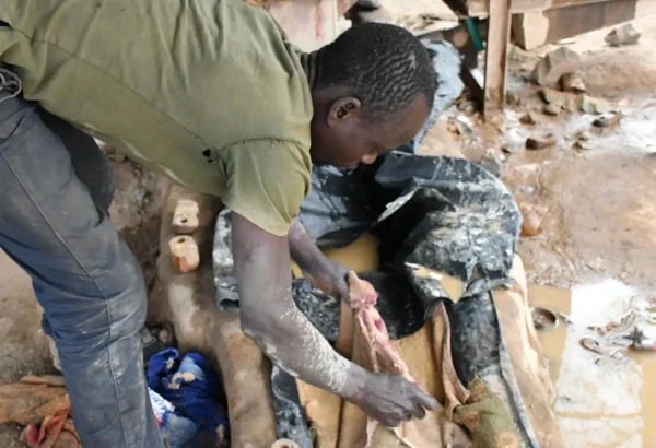 Un minero artesanal supervisa de cerca el proceso de separación del oro utilizando equipos básicos y métodos sencillos para extraer el oro del mineral triturado.