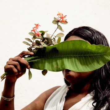 République Centrafricaine / Central African Republic