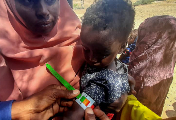 Hunger gap, Jubbaland