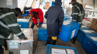 MSF Yellow Fever Vaccination in Kinshasa, DRC