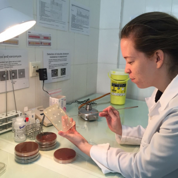 Yemen : surgical emergency hospital in northern Aden