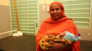 Services in the referral hospital in Ansongo