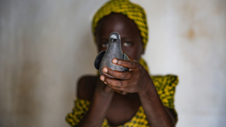 Diffa, Niger: Young managed touched by the conflict