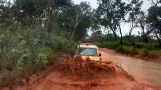 Measles epidemics in Lualaba province