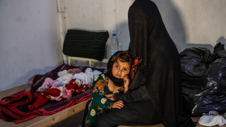 Cholera response in Khamer, Amran hospital