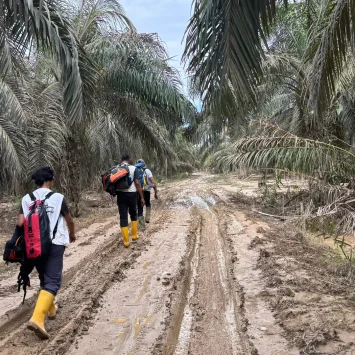 El equipo de MSF viajó a pie a zonas de difícil acceso durante una evaluación en el distrito de Aceh Tamiang, Indonesia.