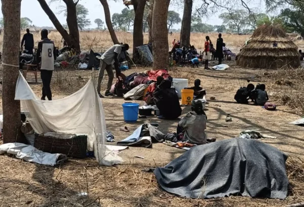 Las familias se refugian bajo los árboles en Nyatim, Estado de Jonglei, Sudán del Sur, donde las personas desplazadas viven al aire libre sin refugio adecuado, comida ni acceso a atención sanitaria básica tras huir de la violencia en Lankien y las zonas circundantes.