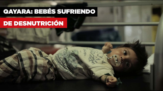 qayara_bebes_sufriendo_desnutricion.jpg